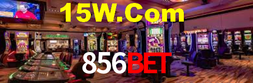Interface Premium 856bet