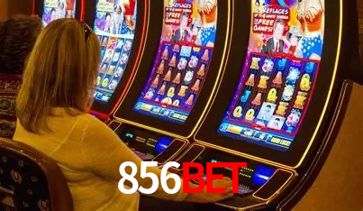 Design Responsivo 856bet